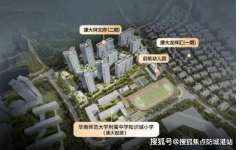 为项目质量取交付提